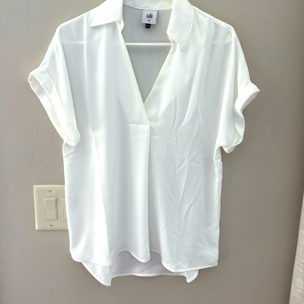 CAbi dress shirt
